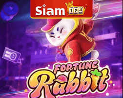 9 bet fortune rabbit ícone