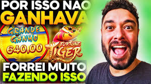 melhor horário para jogar dragon tiger imagem de tela 2